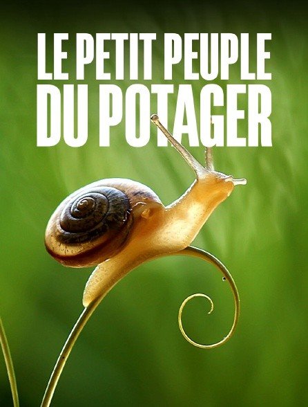 Affiche film "Le petit peuple du potager".