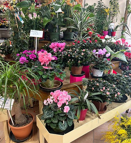 fleures.
